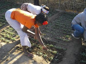 30%_001_Anlegen von Gärten